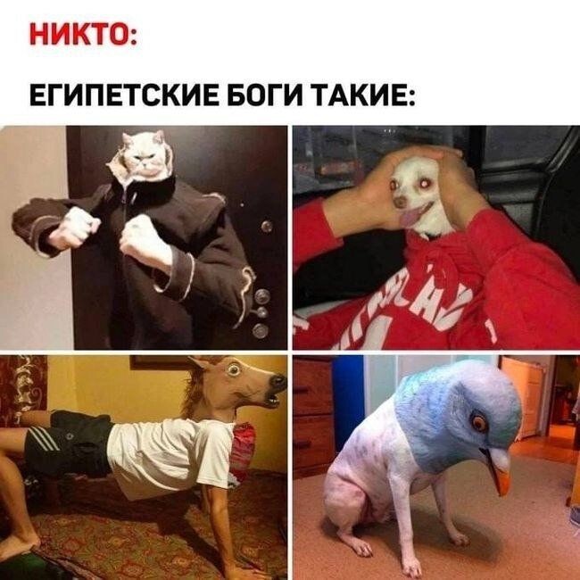 Весëлые картинки