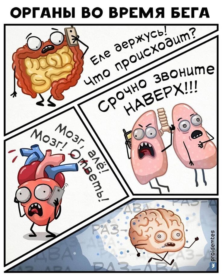 Весëлые картинки