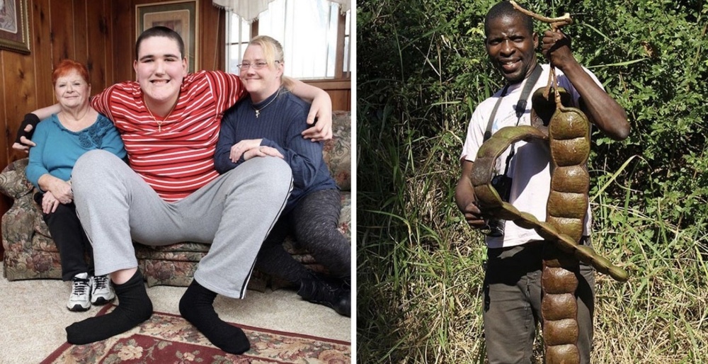 Реальные предметы и живых существ, впечатляющих своими огромными размерами