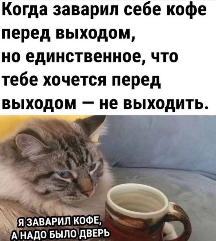Весëлые картинки