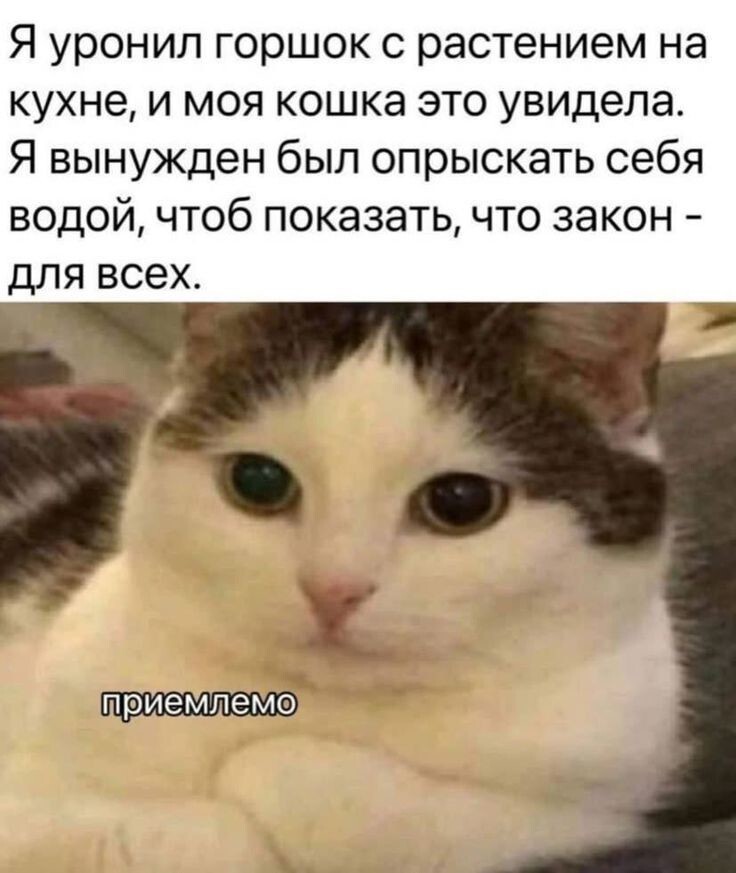 Весëлые картинки