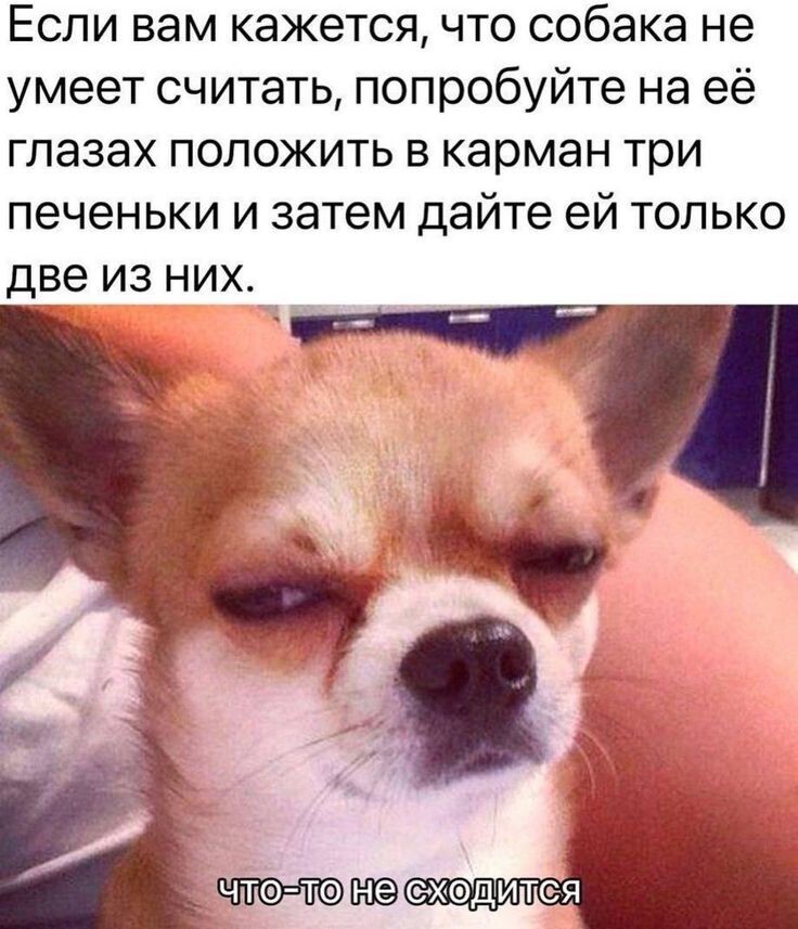 Весëлые картинки