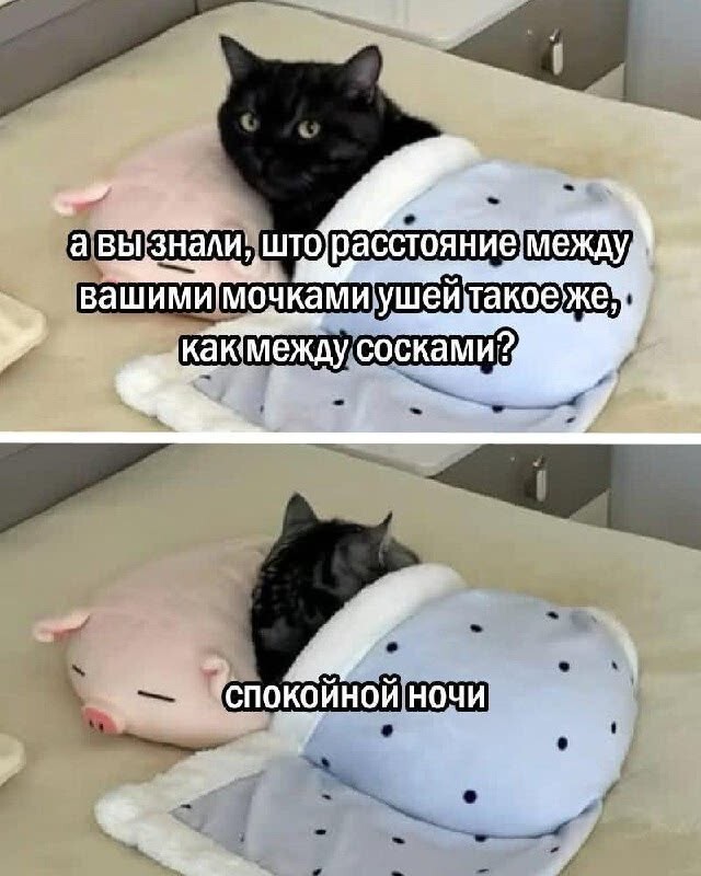 Весëлые картинки