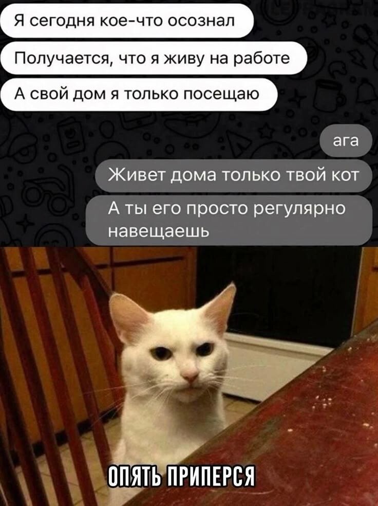 Весëлые картинки