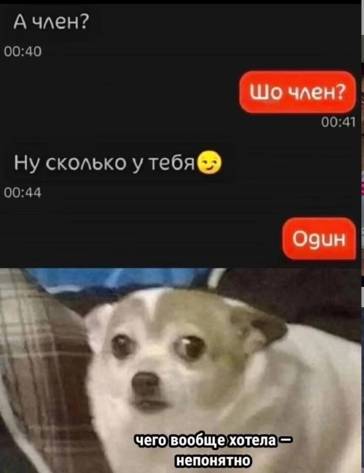 Весëлые картинки