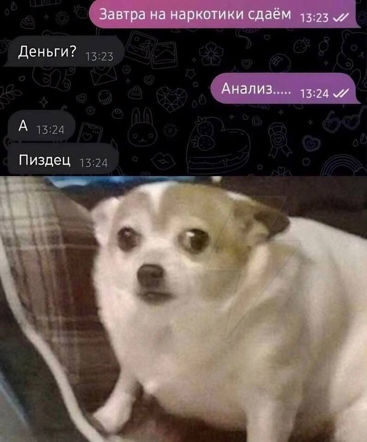 Весëлые картинки