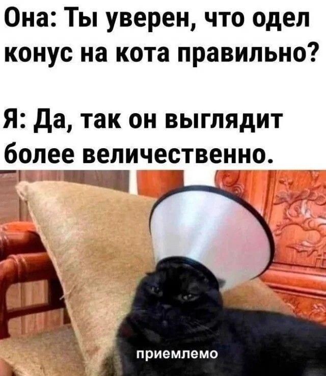 Весëлые картинки