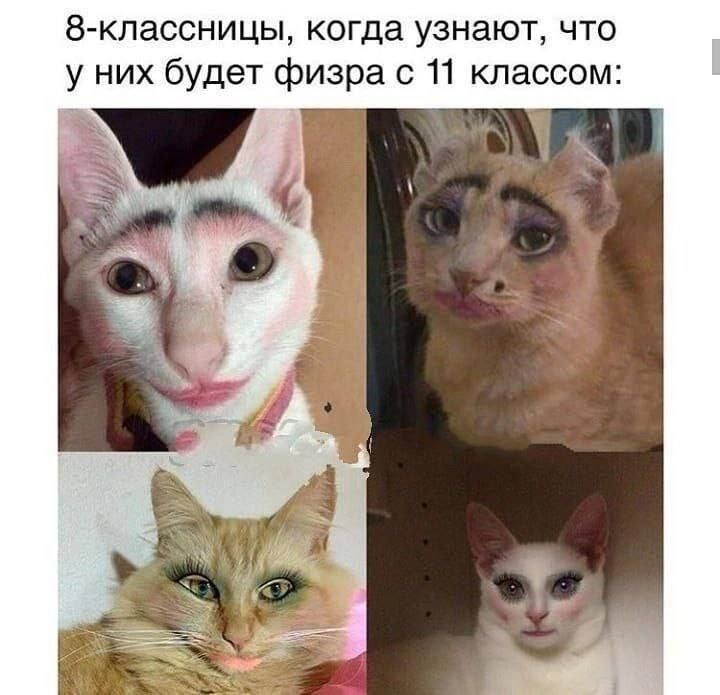 Весëлые картинки