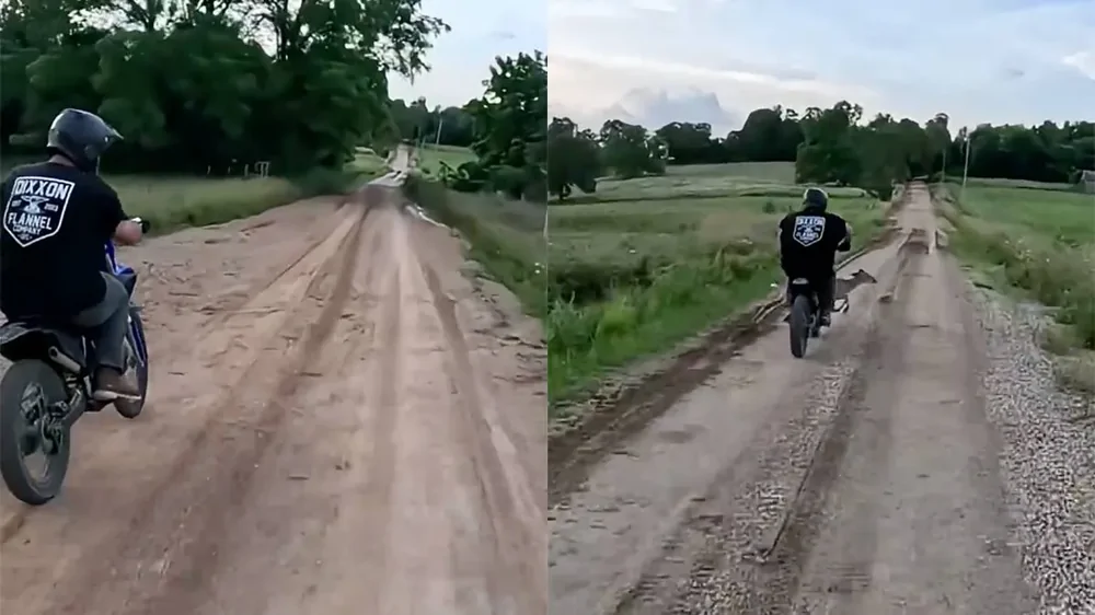 Мотоциклист столкнулся с оленем — и проиграл