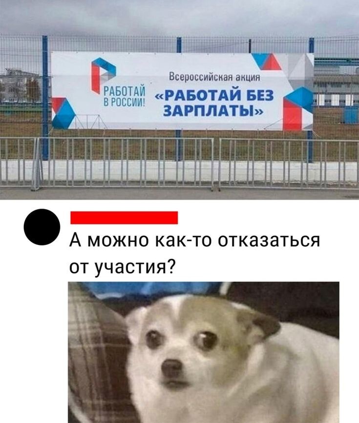 Весëлые картинки