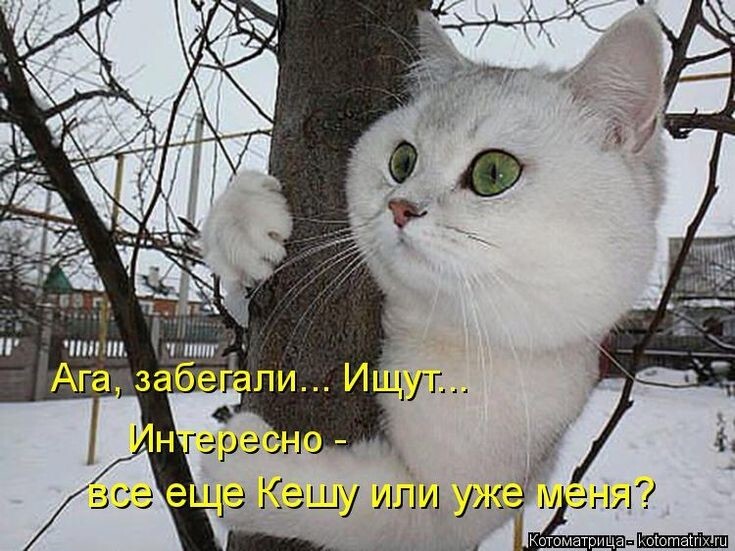 Весëлые картинки