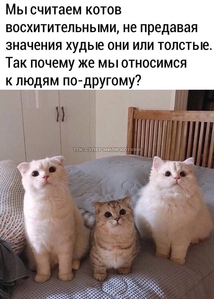 Весëлые картинки