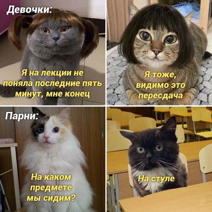 Весëлые картинки