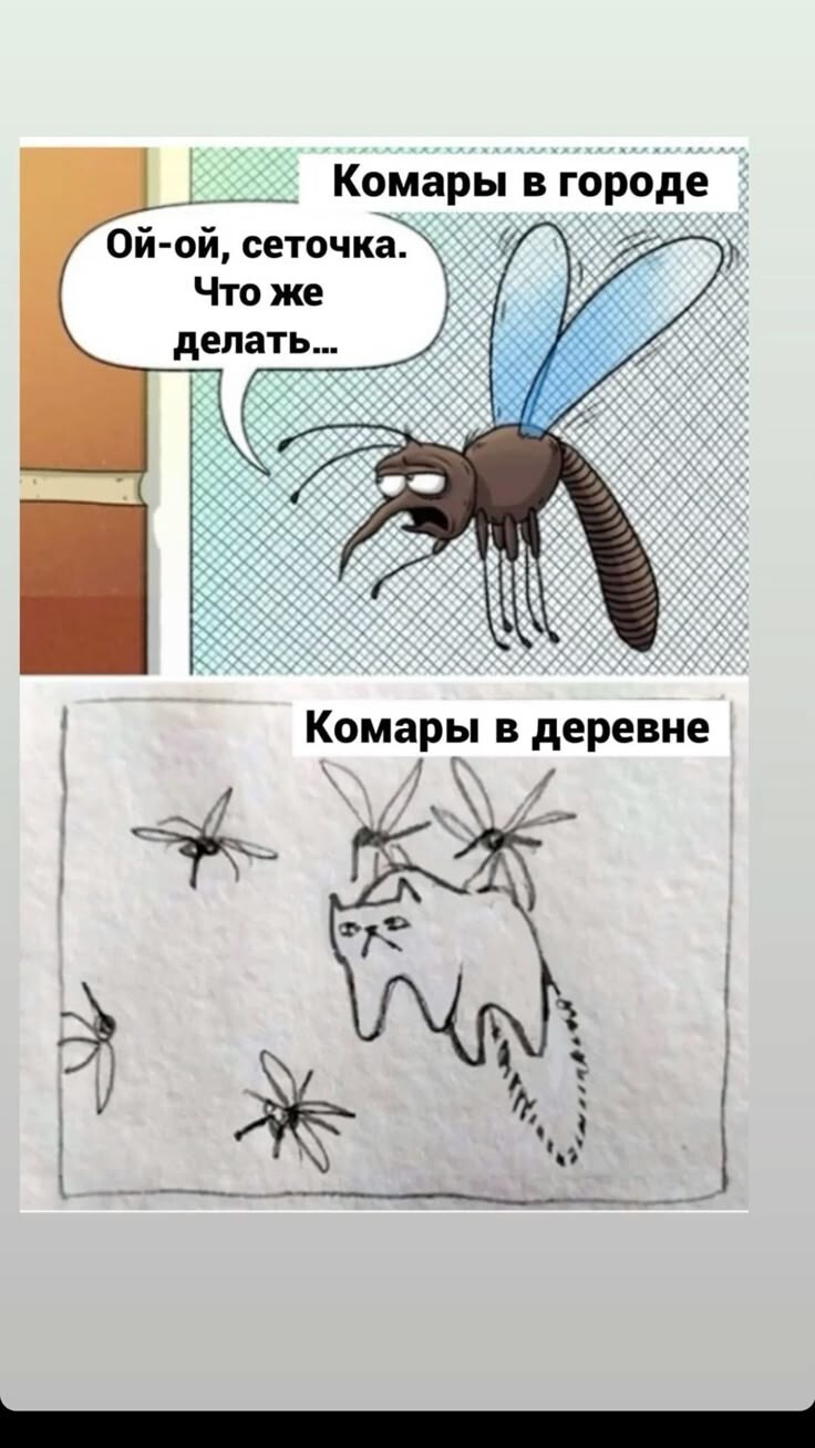 Весëлые картинки