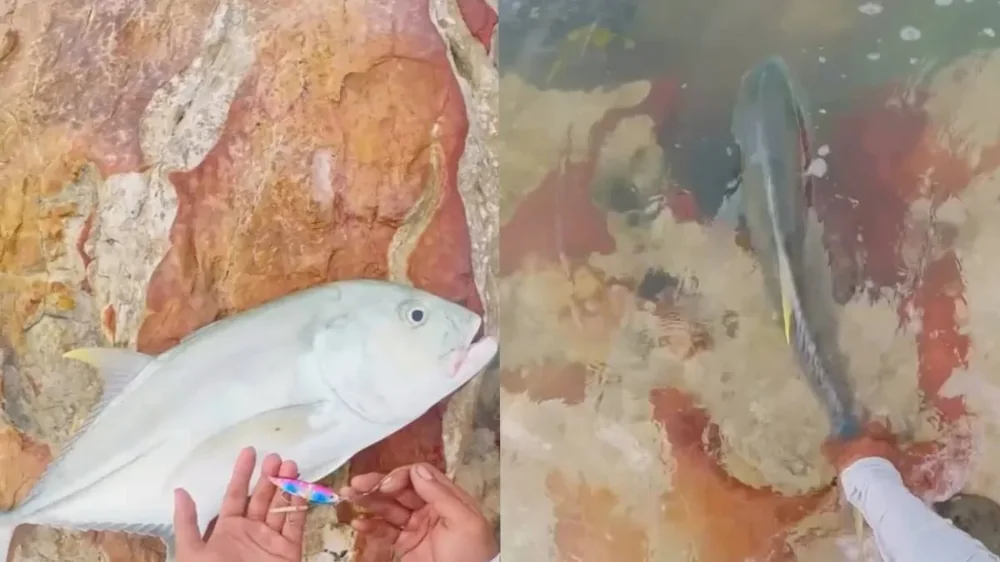 Рыбак хотел отпустить улов, но всё пошло не по плану