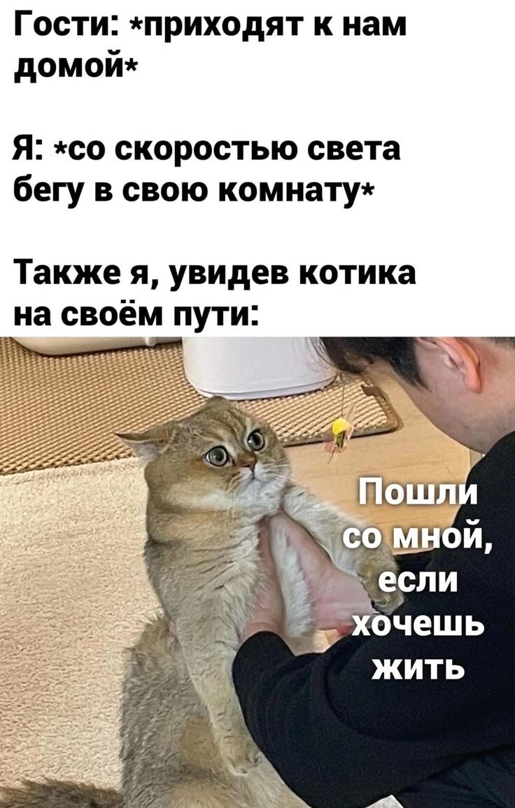 Весëлые картинки