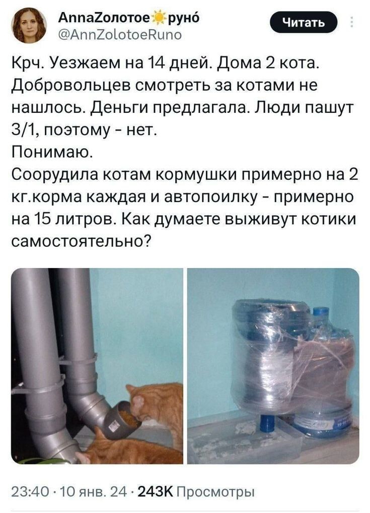 Весëлые картинки