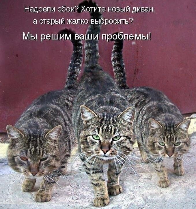 Весëлые картинки