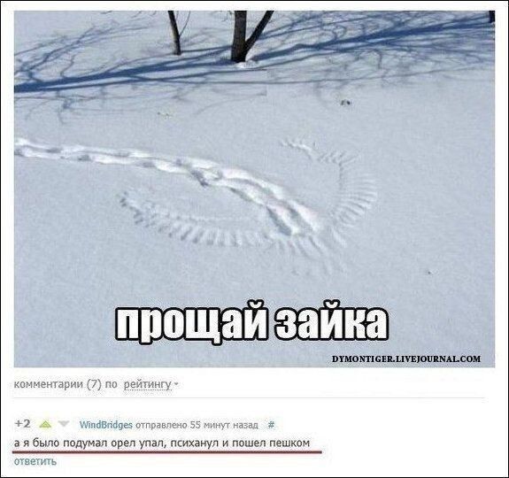 Весëлые картинки