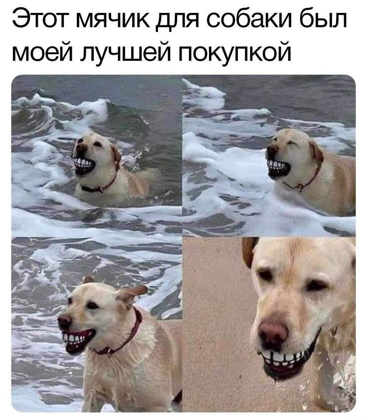 Весëлые картинки