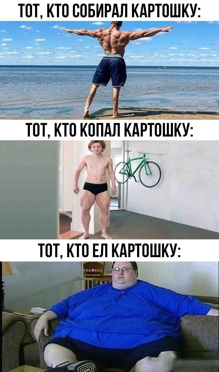 Весëлые картинки