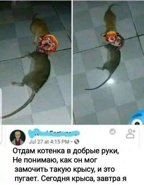 Весëлые картинки