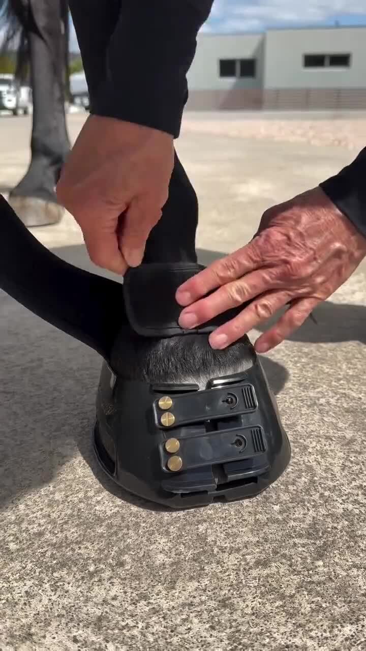 Кроссовки для лошадей 