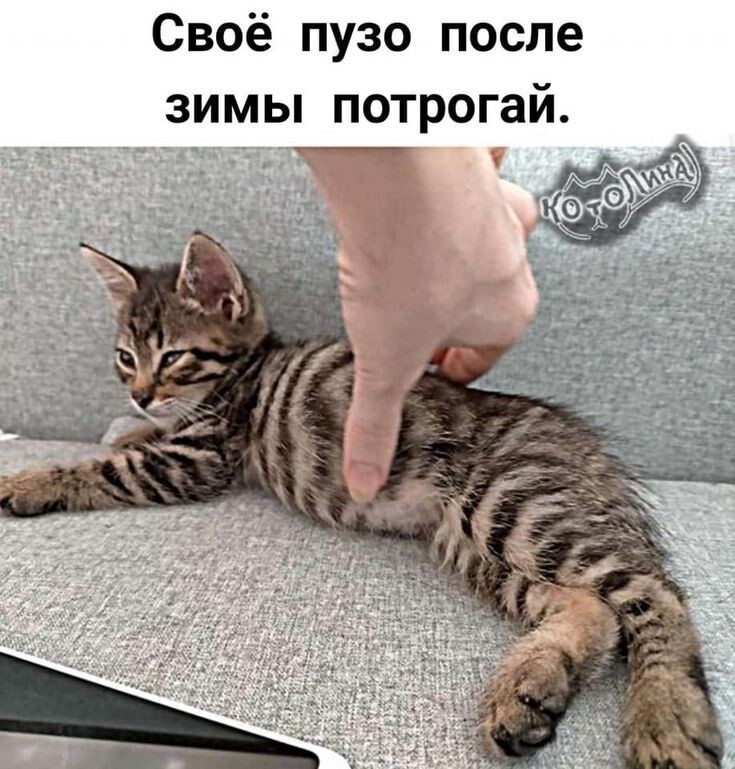 Весëлые картинки