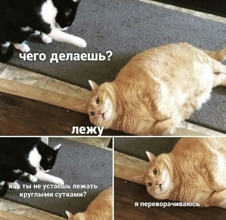 Весëлые картинки