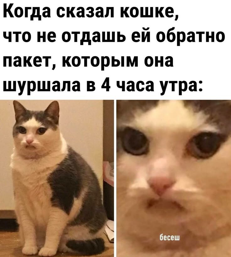 Весëлые картинки
