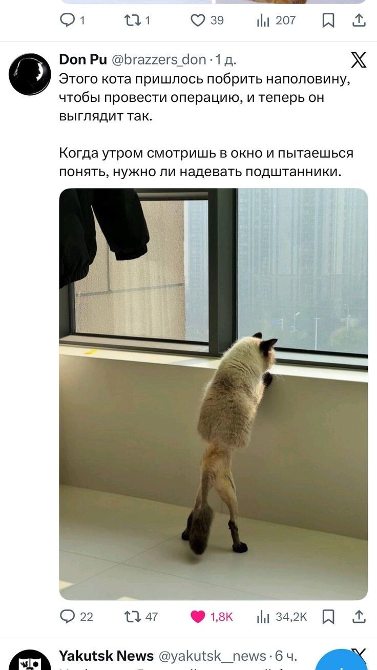 Весëлые картинки