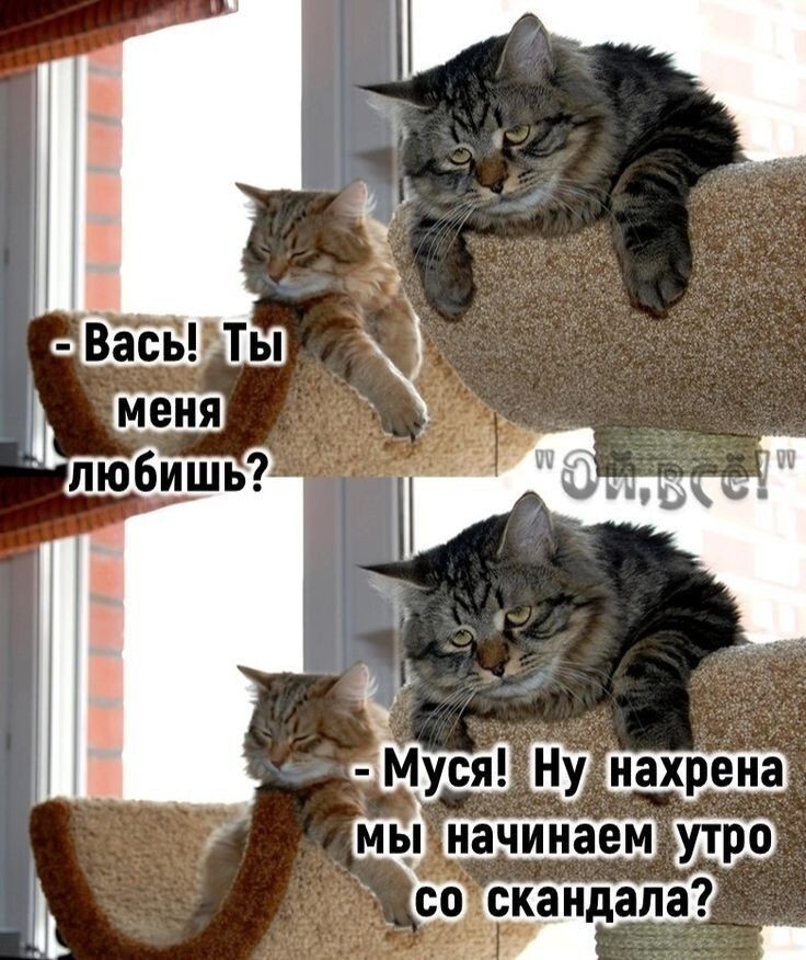 Весëлые картинки