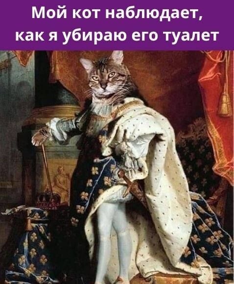 Весëлые картинки