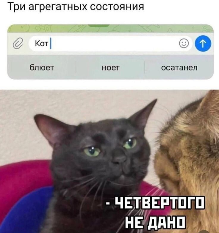 Весëлые картинки