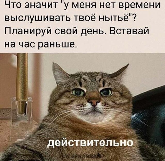 Весëлые картинки