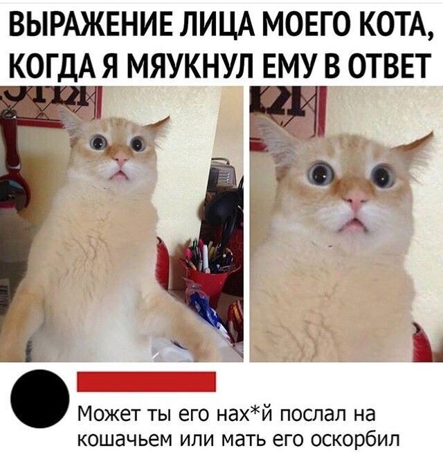 Весëлые картинки
