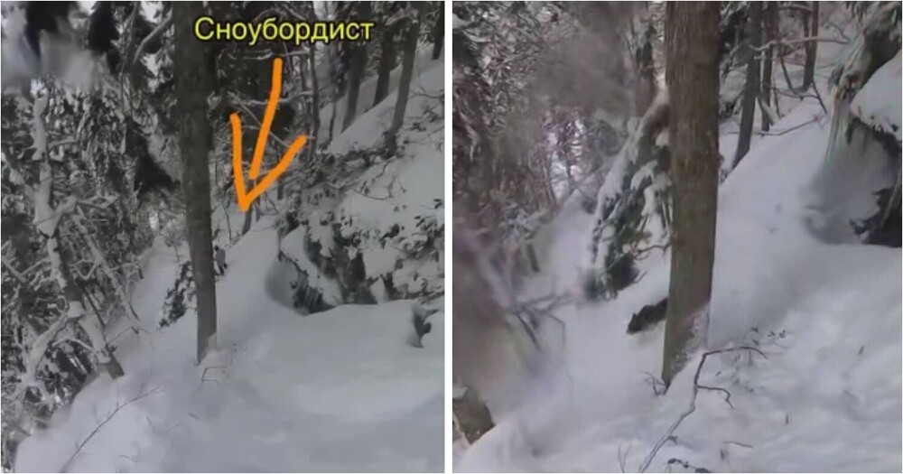 Сноубордисты наткнулись на разъяренную медведицу в Красной поляне