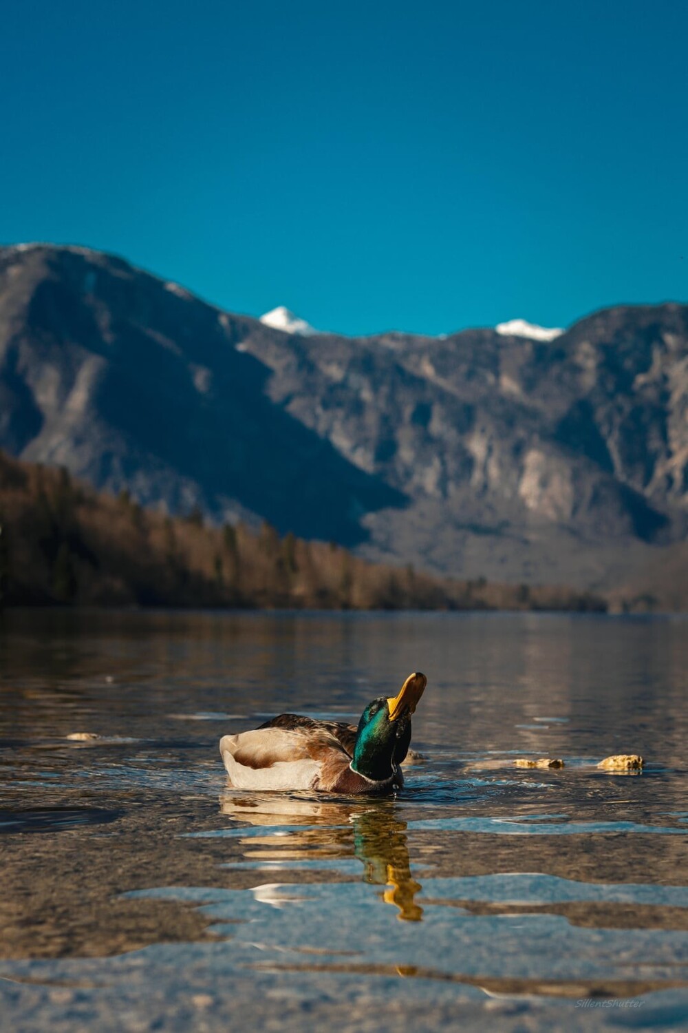 6. Между небесами и водами