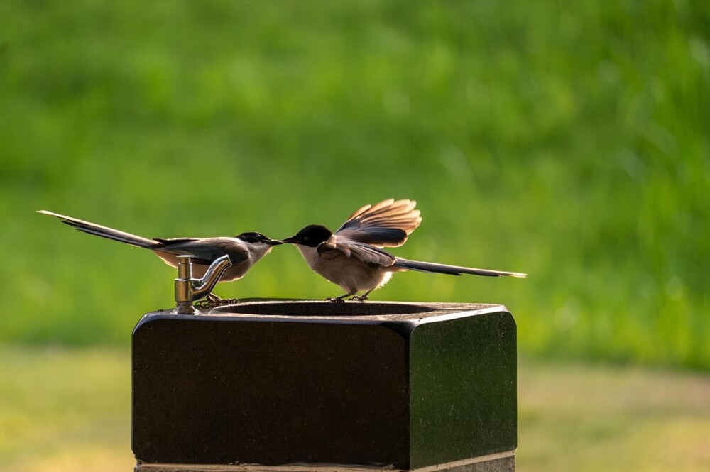 24. Заботливая семейка