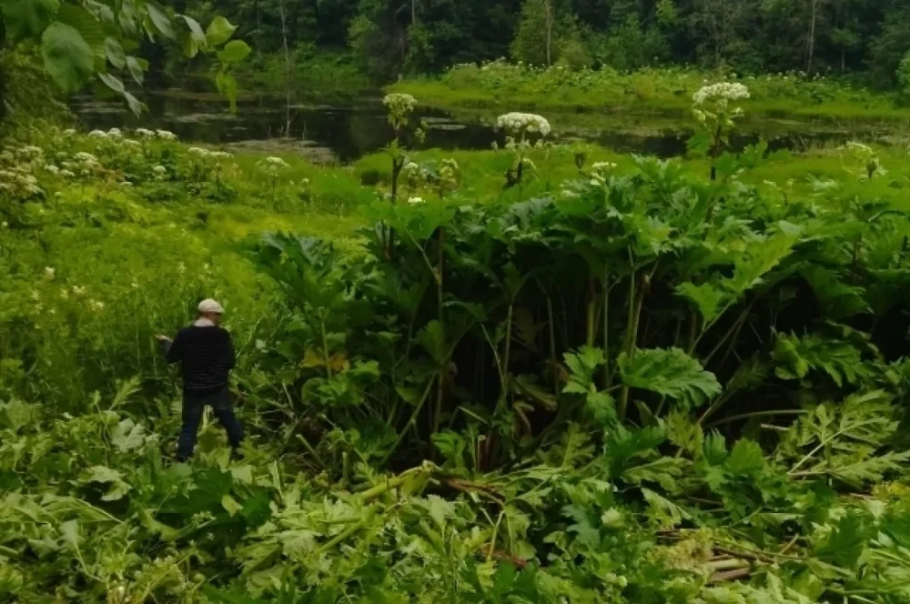 17 жестких и странных изменений, которые врываются в жизнь россиян с 1 марта