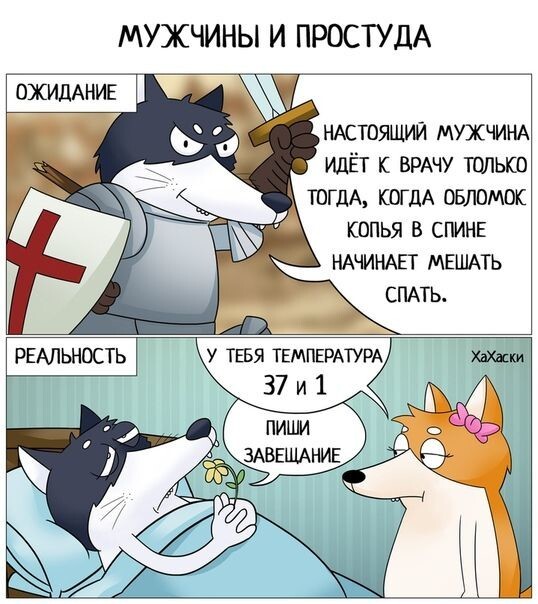 Весёлые картинки