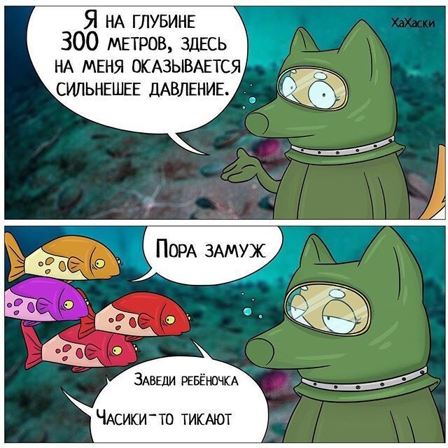 Весёлые картинки