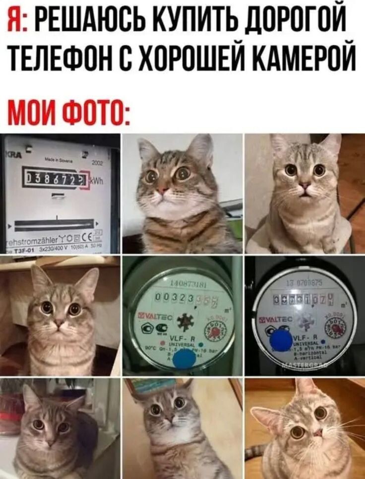 Весёлые картинки