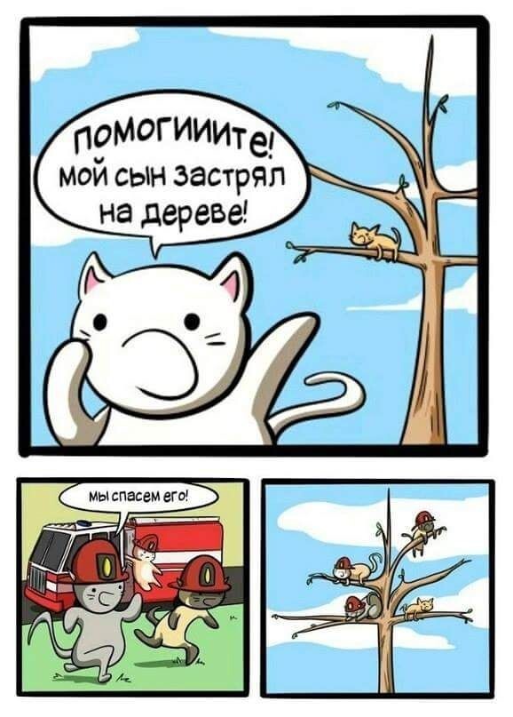 Весёлые картинки