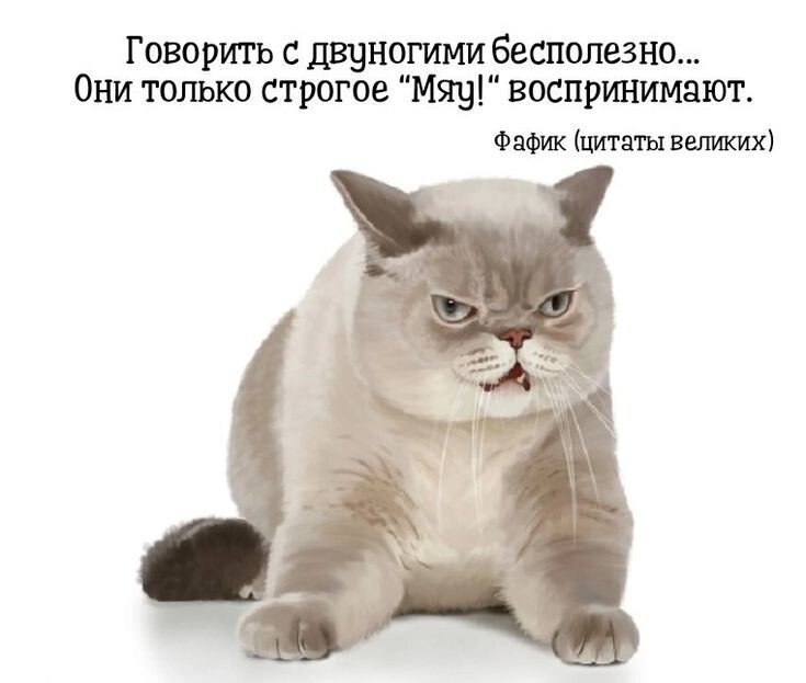 Весёлые картинки