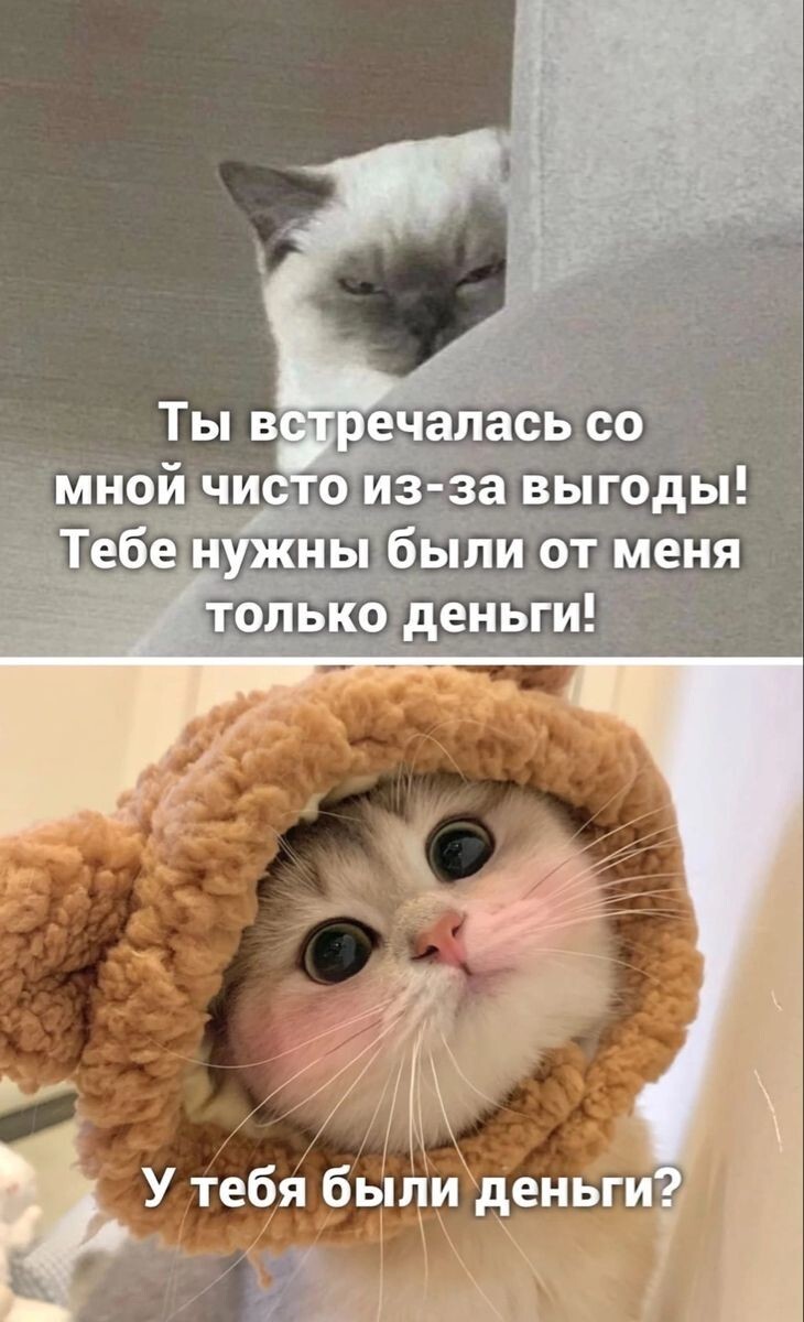 Весёлые картинки