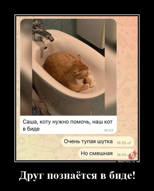 Демотиваторы, которые ударят позитивом