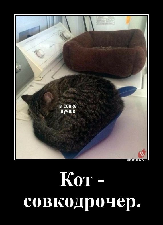 Демотиваторы, которые ударят позитивом