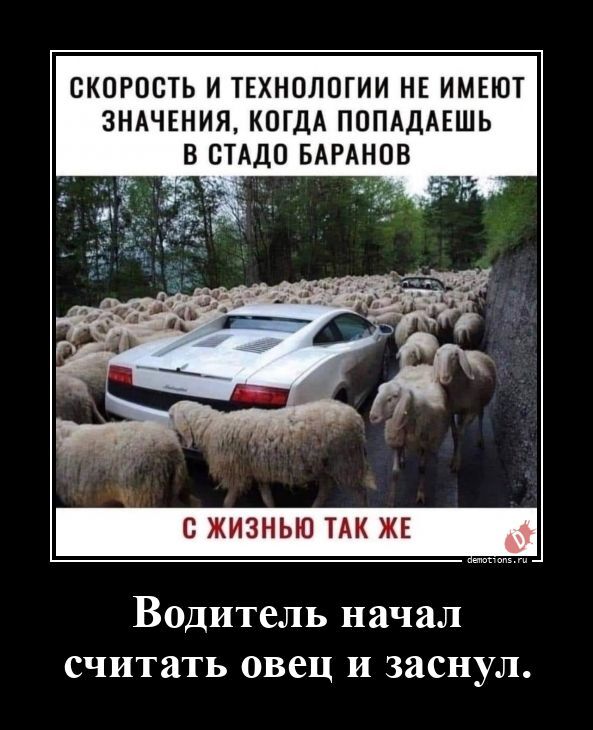 Демотиваторы, которые ударят позитивом