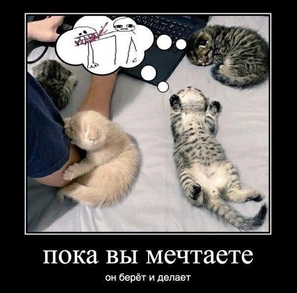 Демотиваторы, которые ударят позитивом